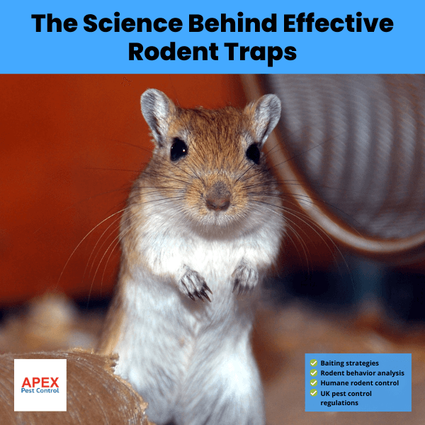 the science behind effective rodent traps