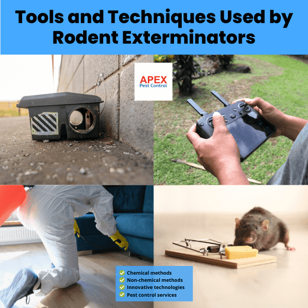 Tools and Techniques Used by Rodent Exterminators