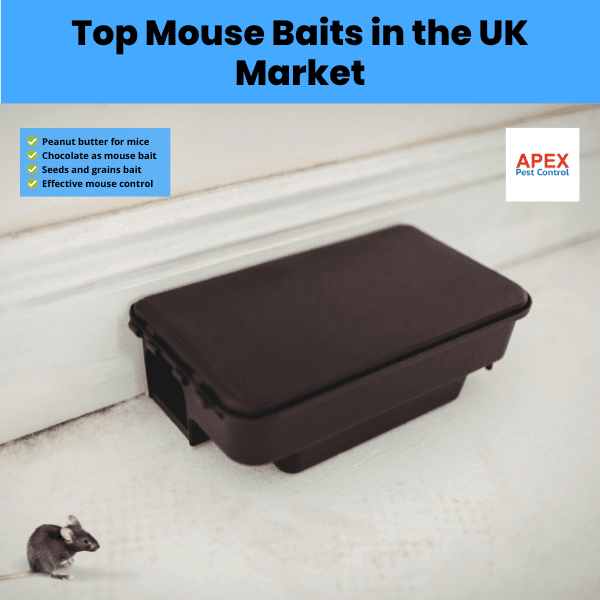 top mouse baits in the uk market