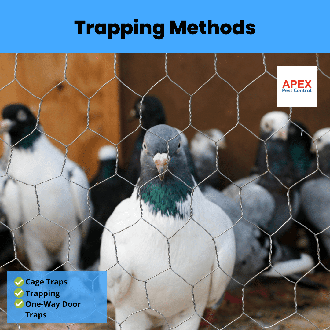 Trapping Methods