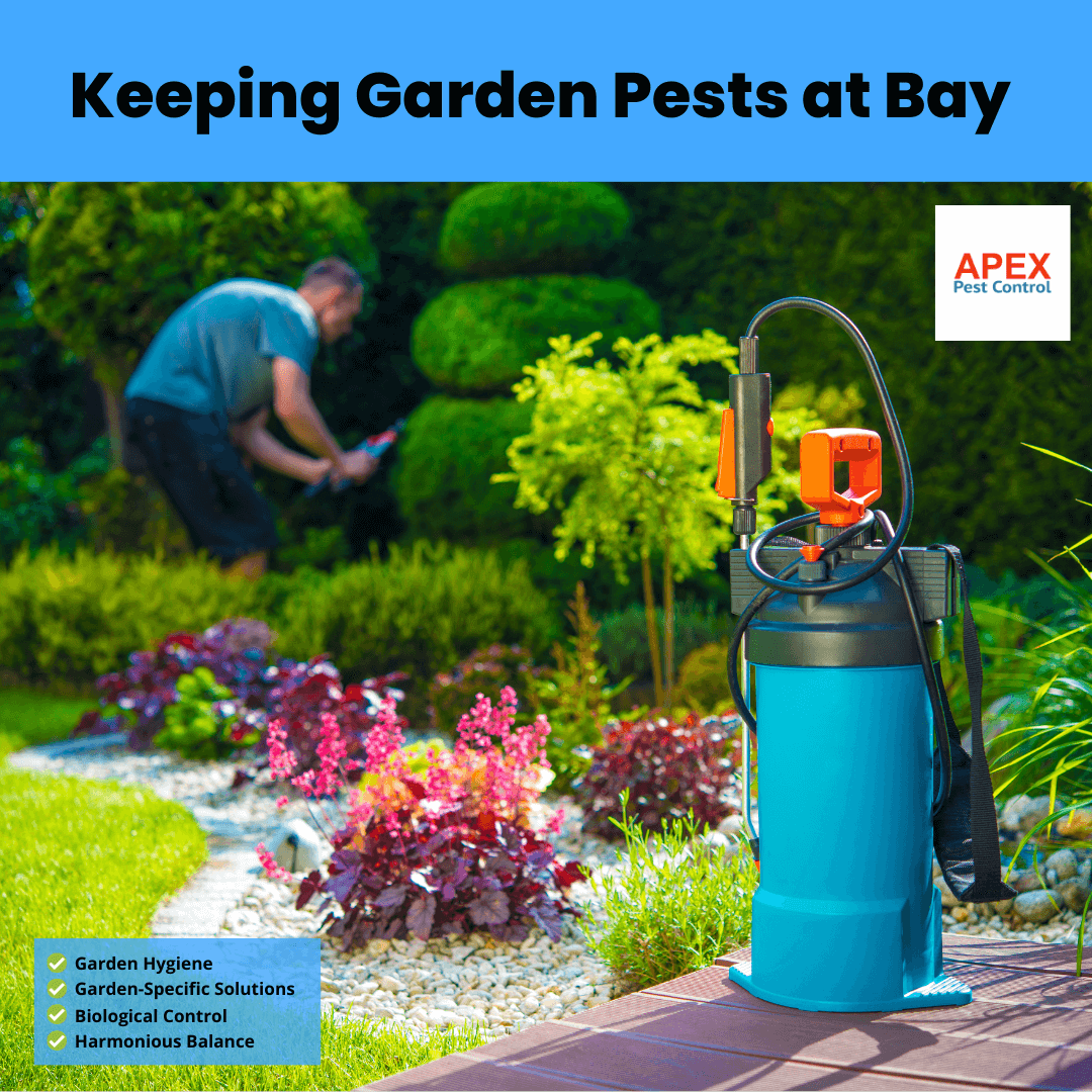 Keeping Garden Pests at bay