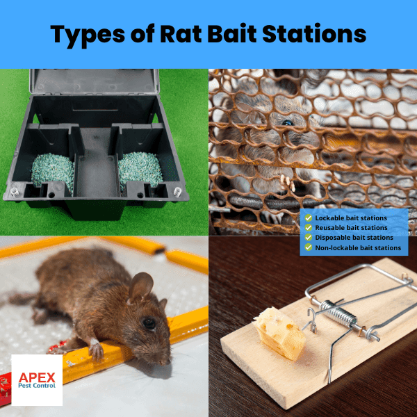 Types of Rat Bait Stations