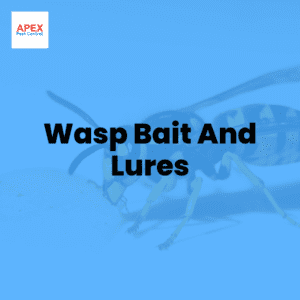 Wasp Bait And Lures