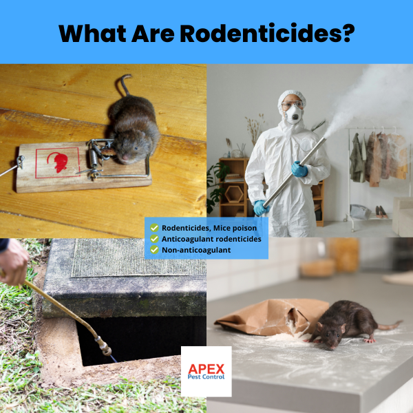 what are rodenticides