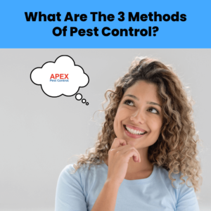 What Are The 3 Methods Of Pest Control