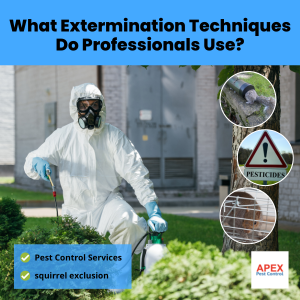 What Extermination Techniques Do Professionals Use - pest control technician offering pesticide treatment to stop grey squirrels.
