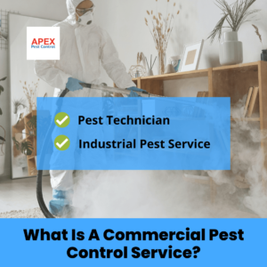 What Is A Commercial Pest Control Service