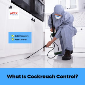 What Is Cockroach Control