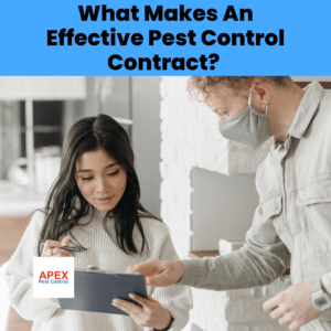 What Makes An Effective Pest Control Contract