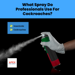 What Spray Do Professionals Use For Cockroaches