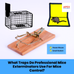 Get Rid Of Mice - Professional Extermination Solutions