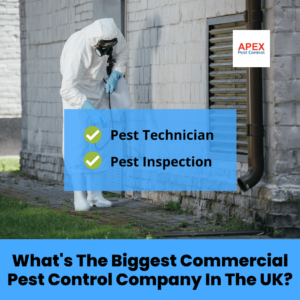 What's The Biggest Commercial Pest Control Company In The UK