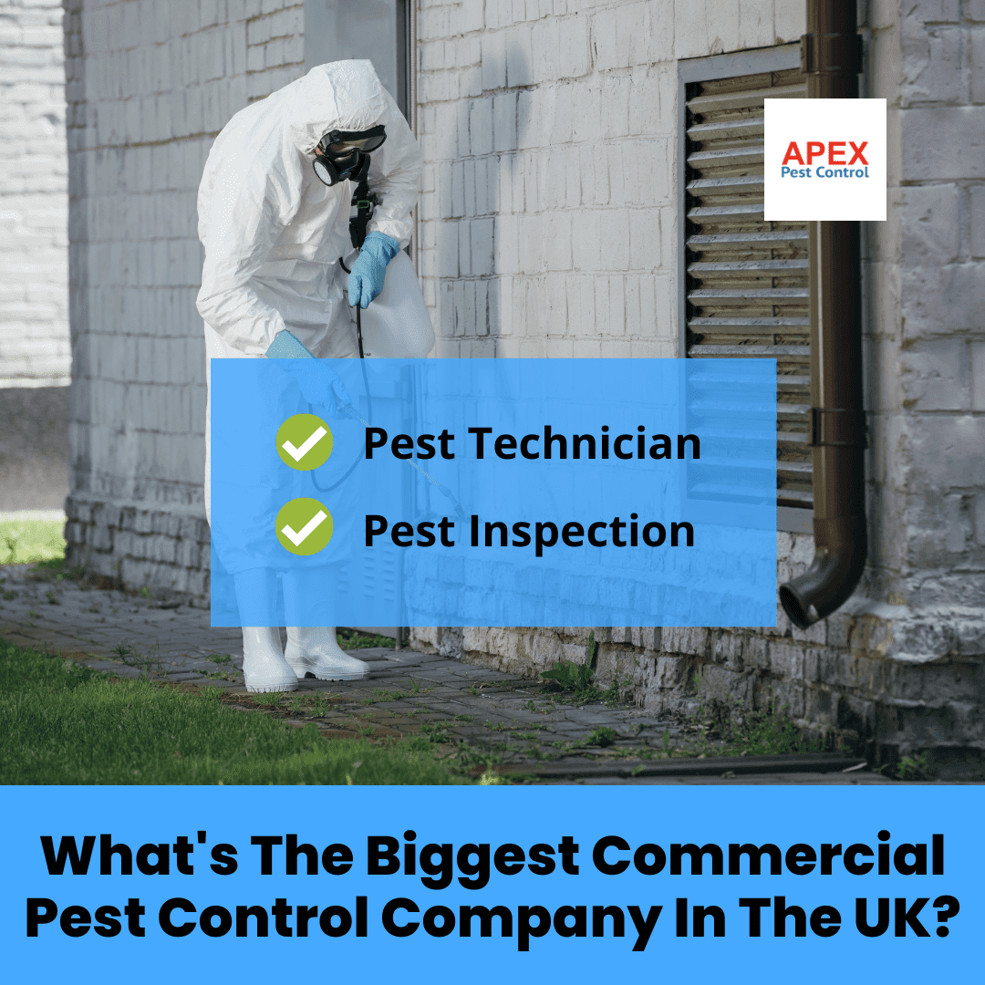 Do You Need Pest Control Commercial Services? | Apex Pest Control