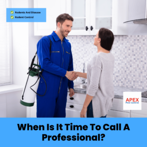 When Is It Time To Call A Professional