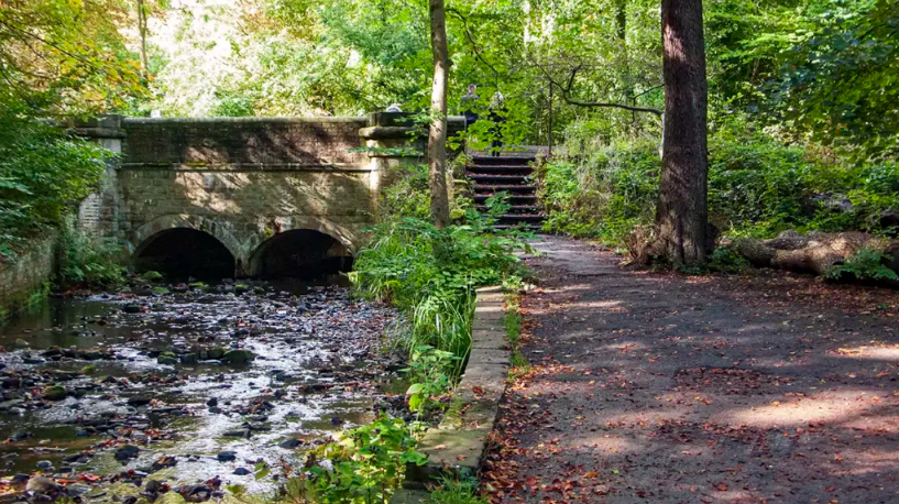 whiteley woods