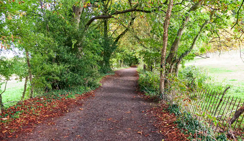 whiteley woods