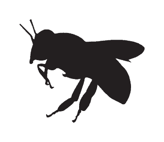 honey bee removal