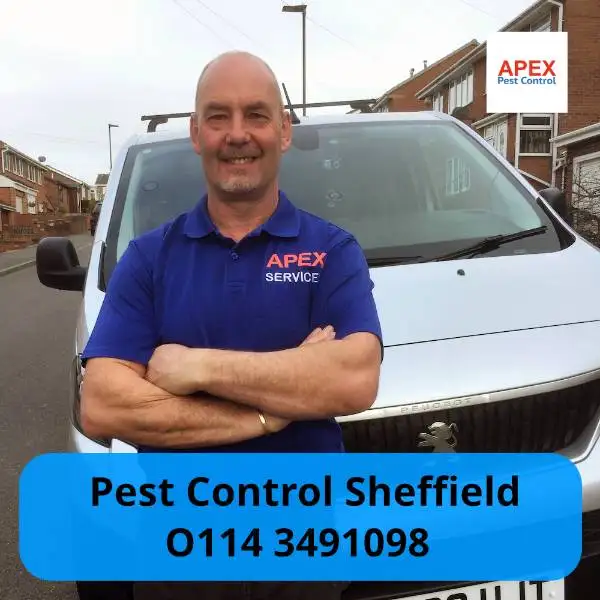 pest control sheffield