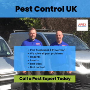 Apex Pest Control | Local Pest Experts Sheffield, Rotherham & Barnsley