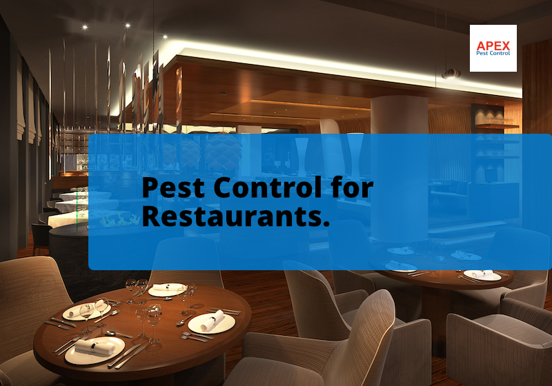 pest control for restaurants