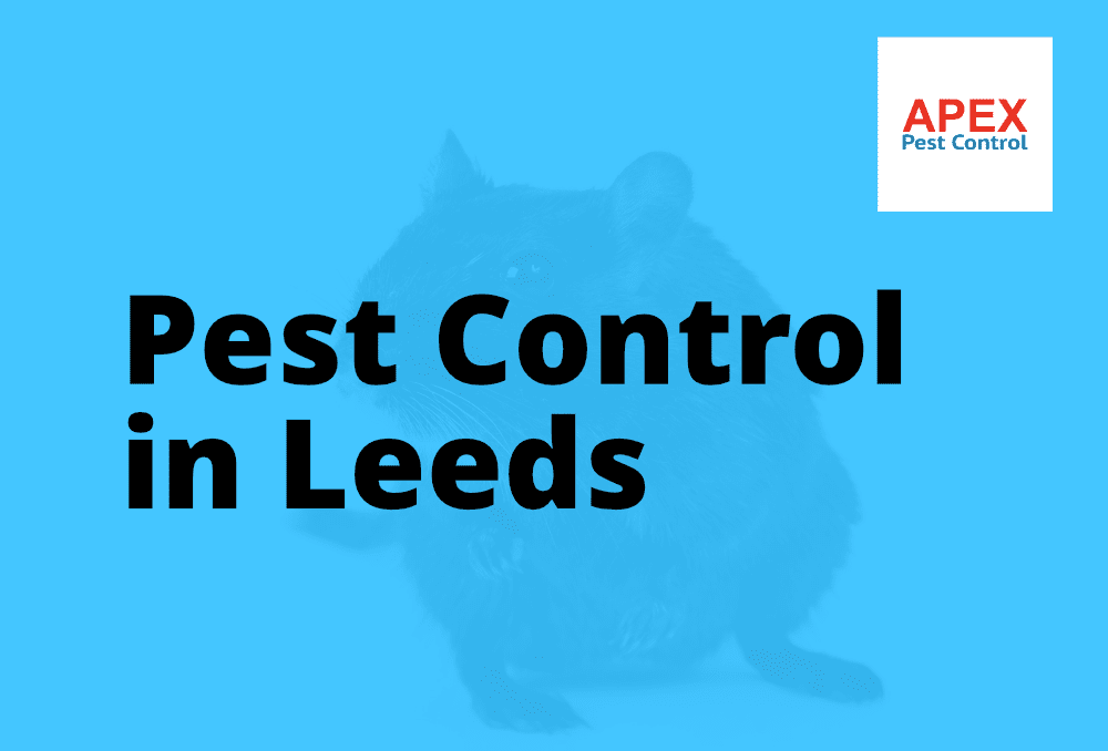 apex pest control in leeds