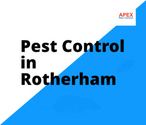 apex pest control