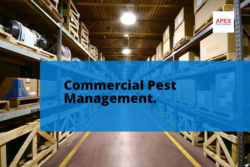 commercial pest management