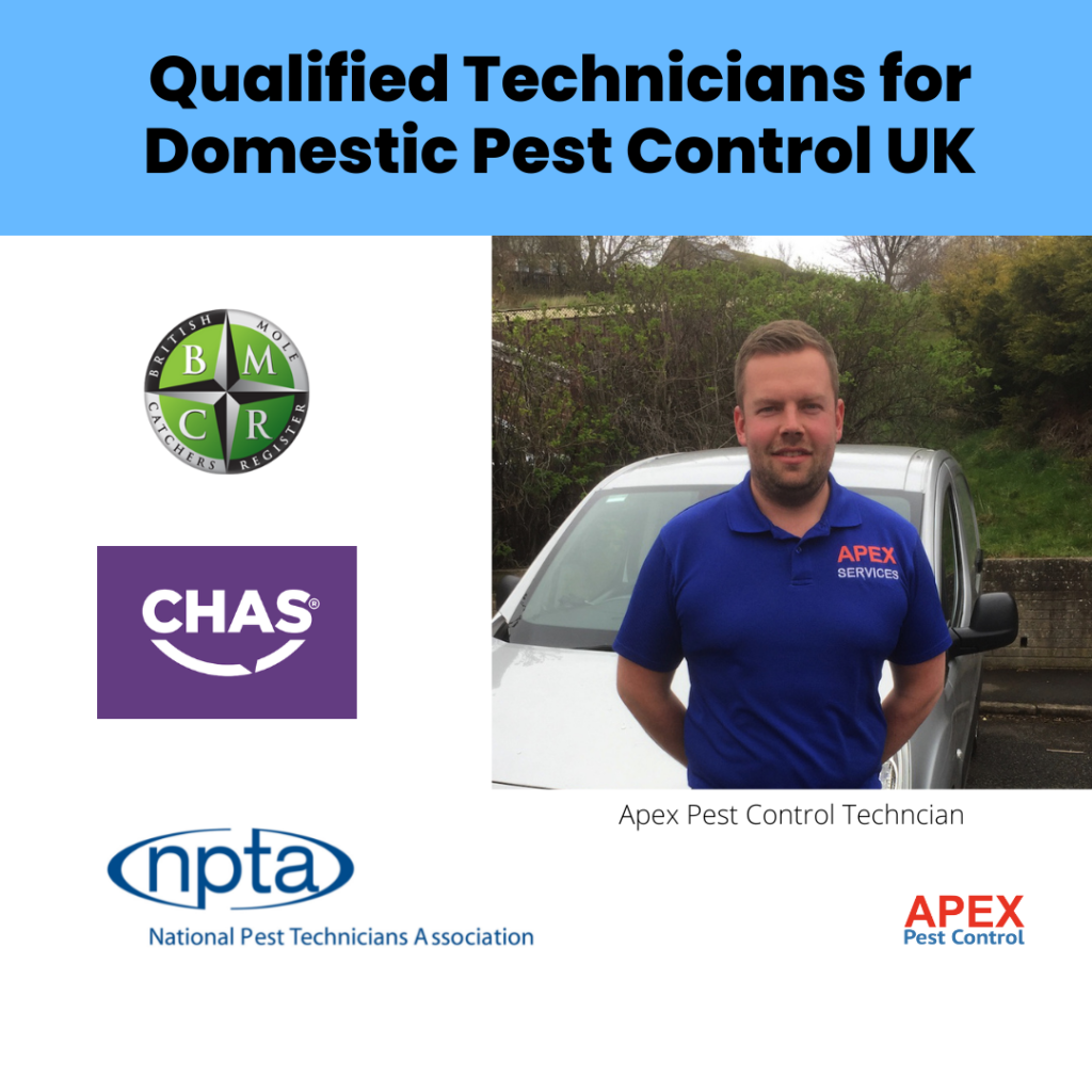 Spencer Pest Services – Pest Control and Exterminator ServicesGet