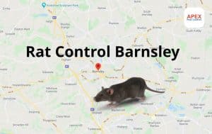 rat control Barnsley, South Yorkshire