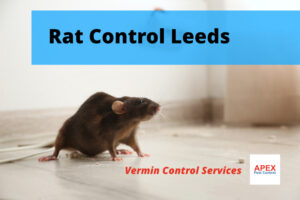 Leeds vermin proofing