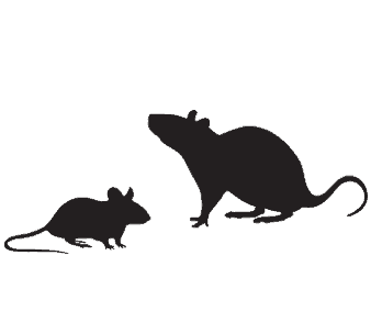 business pest control