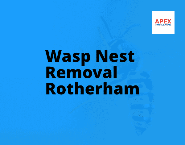 pest control rotherham